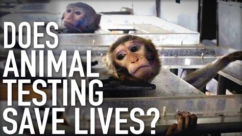 Does animal testing save animals?