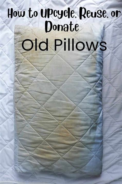 Does anyone want old pillows?