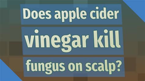 Does apple cider vinegar destroy scalp fungus?