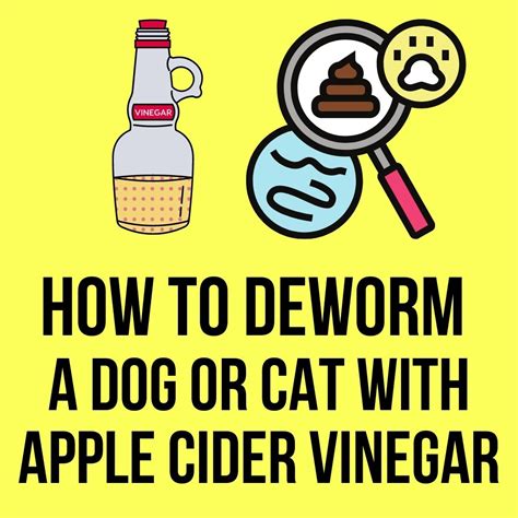 Does apple cider vinegar deworm cats?