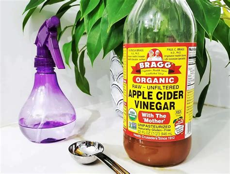 Does apple cider vinegar remove mold?