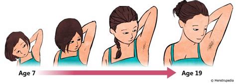 Does armpit hair mean period?