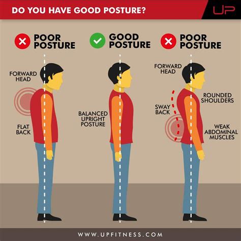 Does bad posture affect muscle growth?
