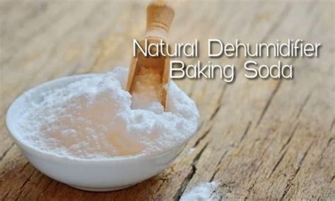 Does baking powder dehumidify?