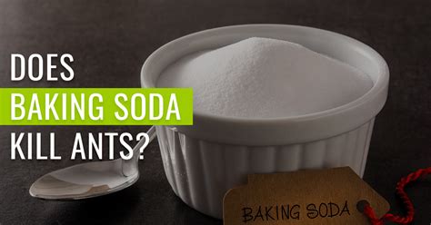 Does baking soda keep ants away?