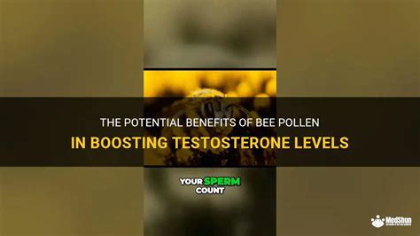 Does bee pollen help testosterone?
