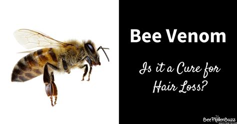 Does bee venom help in hair growth?