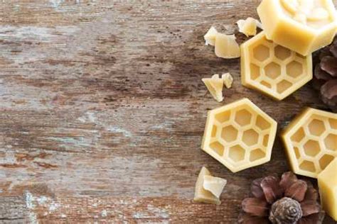 Does beeswax get moldy?