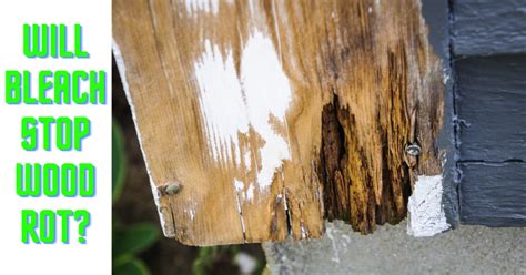 Does bleach stop wood rot?