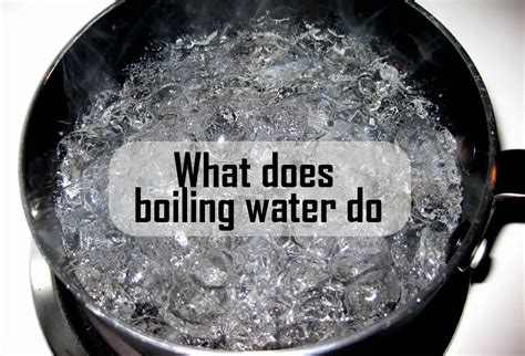 Does boiling get rid of minerals?