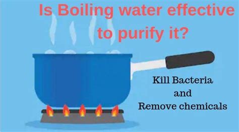 Does boiling water kill forever chemicals?