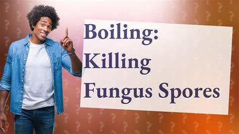 Does boiling water kill spores?