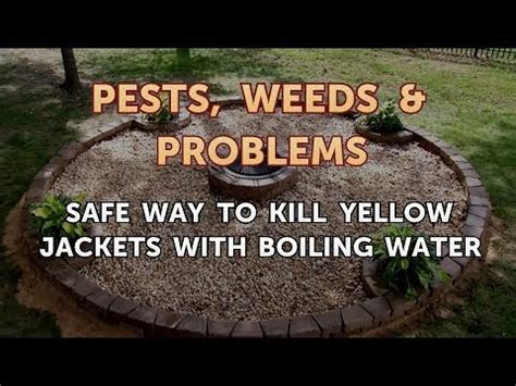 Does boiling water kill yellow jackets?
