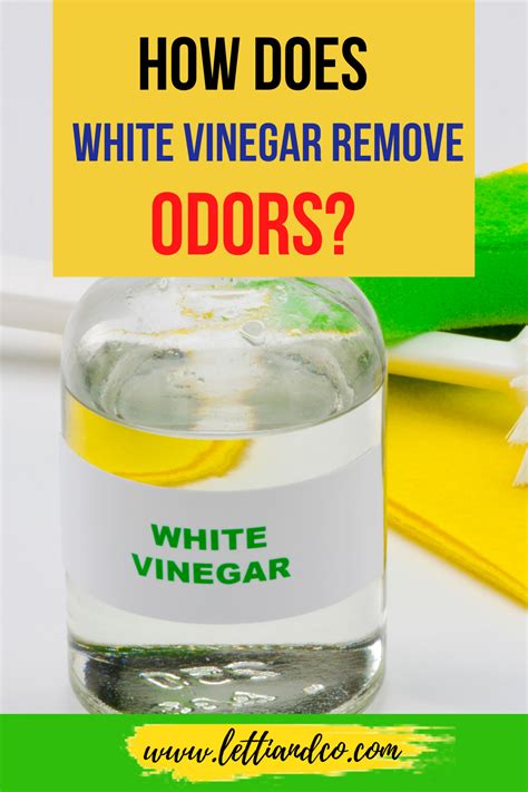 Does boiling white vinegar remove odors?