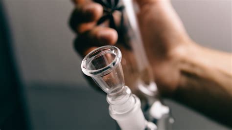 Does bong remove toxins?