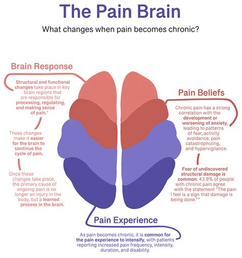 Does brain feel pain?