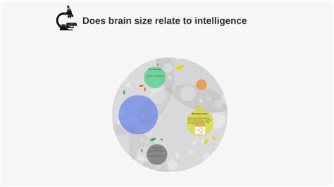 Does brain size relate to intelligence?