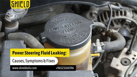 Does brake fluid stop power steering leak?