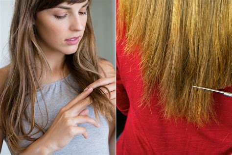 Does brushing hair help with breakage?