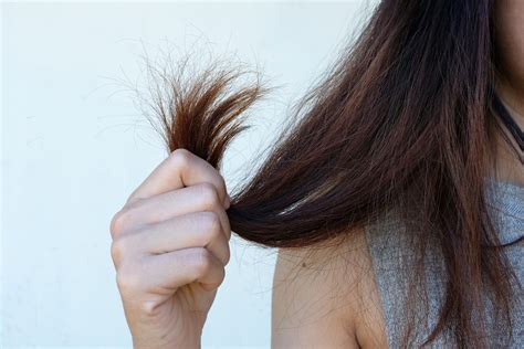 Does brushing your hair reduce split ends?