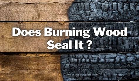 Does burning wood really preserve it?