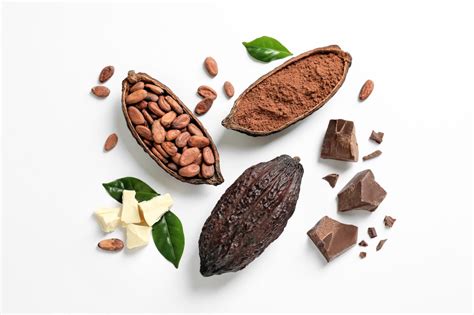 Does cacao give you a buzz?