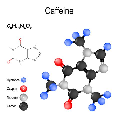 Does caffeine block DHT?