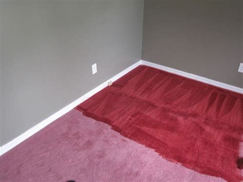 Does carpet dye really work?