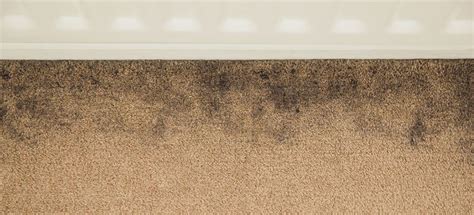 Does carpet get lighter over time?