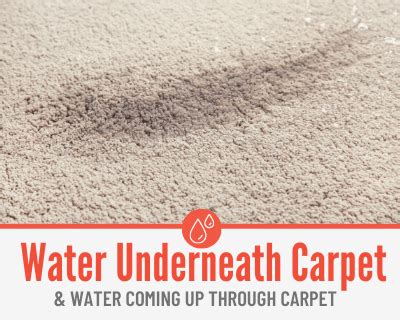 Does carpet underlay absorb water?