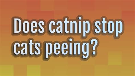 Does catnip stop cats peeing?