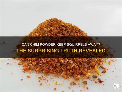 Does chili powder deter squirrels?