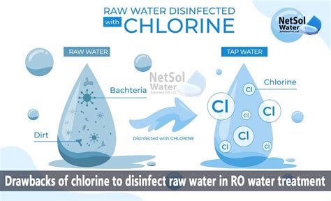 Does chlorine disinfect blood?
