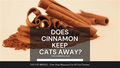 Does cinnamon keep cats away?