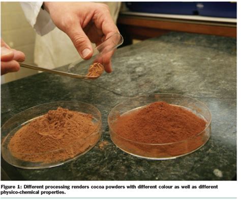 Does cocoa powder dissolve better in hot water?