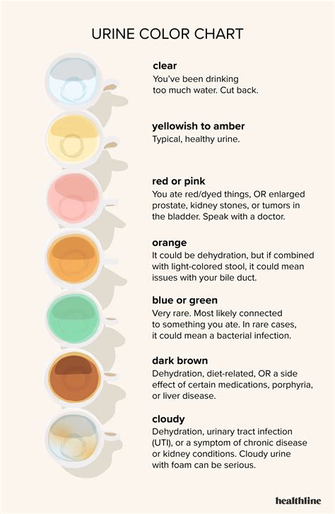 Does coffee color your urine?