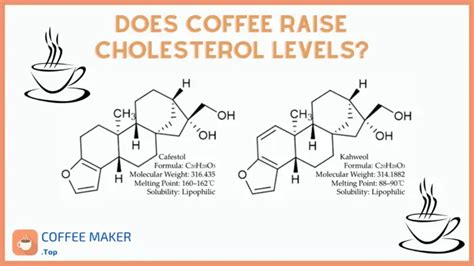 Does coffee raise cholesterol?