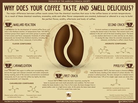 Does coffee smell attract animals?