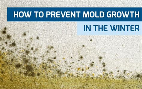 Does cold air stop mold?