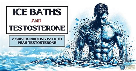 Does cold plunge increase testosterone?