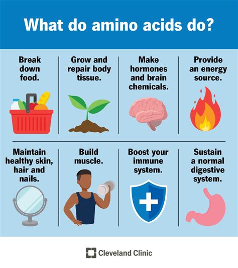 Does cooking destroy amino acids?