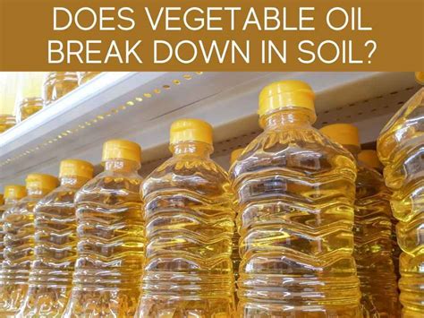 Does cooking oil break down in soil?