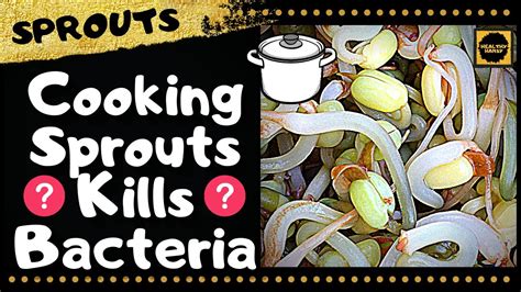 Does cooking sprouts destroy nutrients?