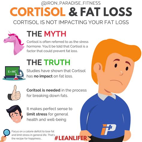 Does cortisol fat go away?
