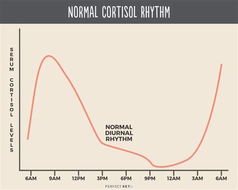 Does cortisol peak at 4am?