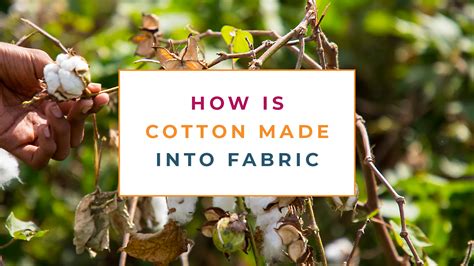 Does cotton make you smell?