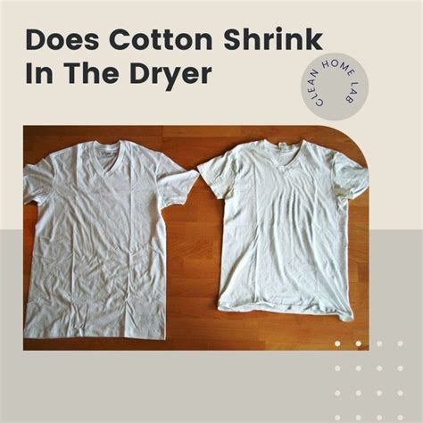 Does cotton shrink or loosen?
