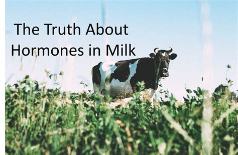Does cow milk cause estrogen?