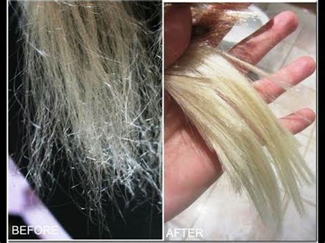 Does damaged hair ever heal?