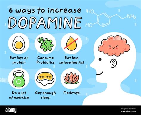 Does darkness increase dopamine?